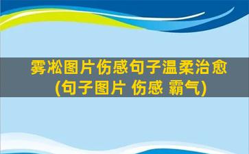 雾凇图片伤感句子温柔治愈(句子图片 伤感 霸气)